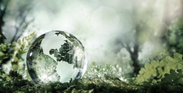 Medioambiente