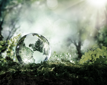 Medioambiente